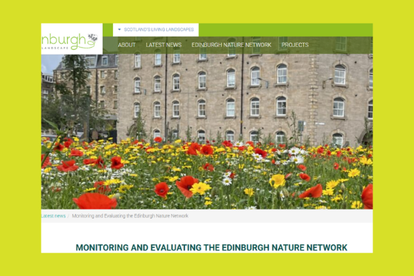Edinburgh Monitoring and evaluation thumbnail.